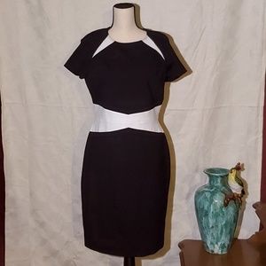 Antonio Melani White Waisted Black Dress Sz 12